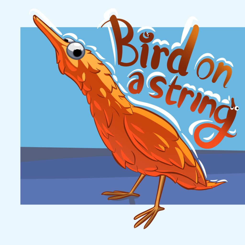 American bittern bird on a string
